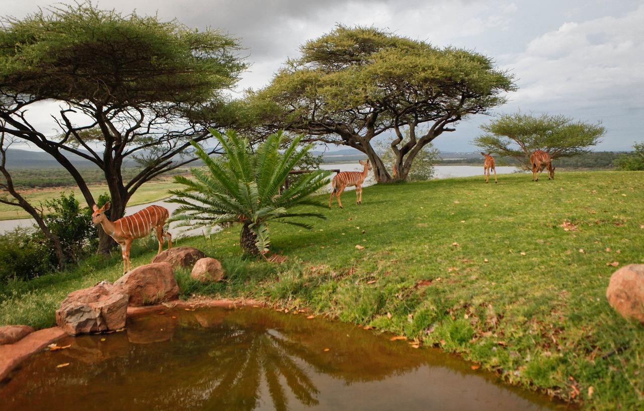 פונגולה Nkwazi Lake Lodge מראה חיצוני תמונה